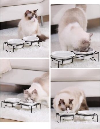 Набір мисок для котів PETTOM (2 шт.) з підставкою, кераміка, захист шиї, зелений + сірий