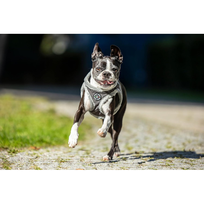 М'який нашийник для собак CHIARA MIA, розмір XL, сірий - водонепроникний, з безпечними світловідбиваючими смугами, регульований на липучці