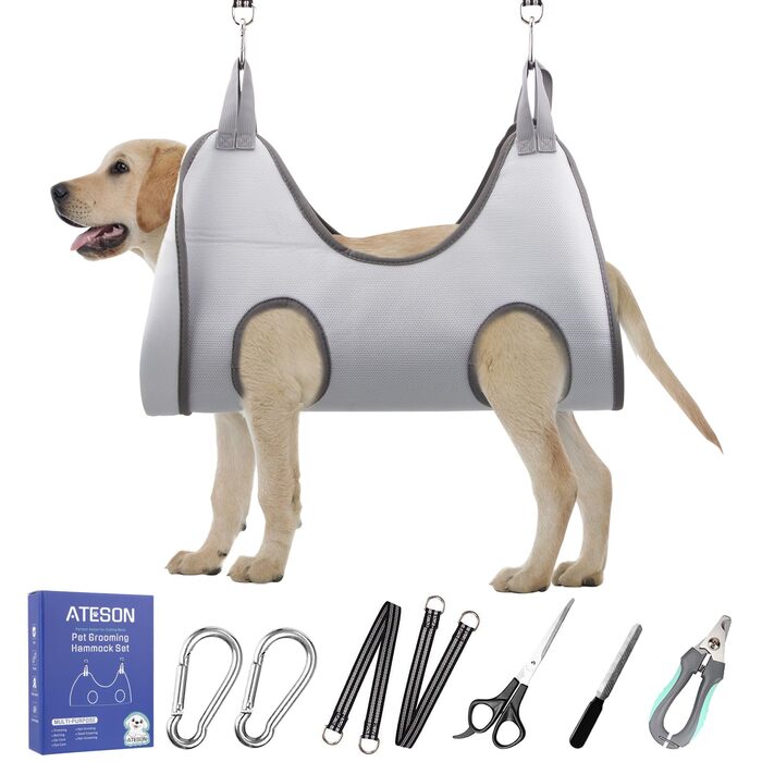 Набір для догляду за собаками XL: шлейка, інструмент для стрижки та підпилювання нігтів, шорка