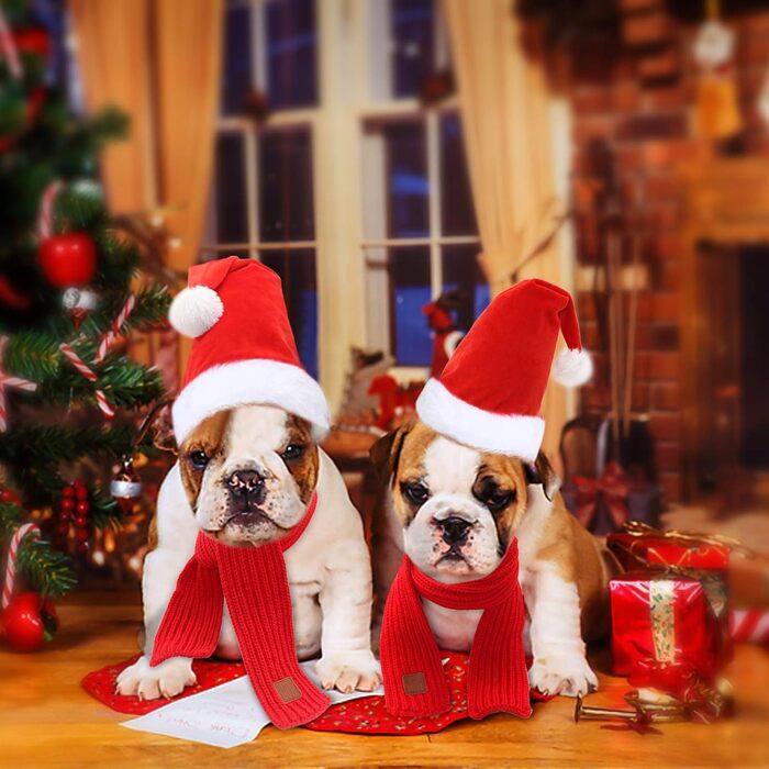Набір новорічний для собак: шапка та шарф. Новорічний костюм для собак, шапка та шарф для малих, середніх та великих собак. Комплект новорічної шапки та шарфа для тварин.