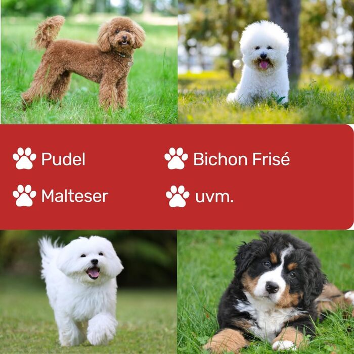 Ножиці для собак EHASO, нержавіючі, 20 см, матові