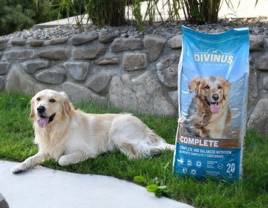 Повний сухий корм для дорослих собак Divinus Dog з вітамінами, 20 кг