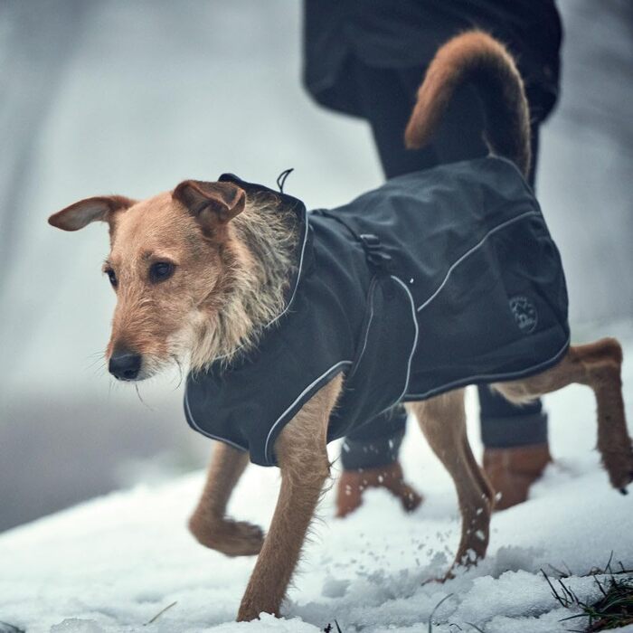 Собачий дощовик HUNTER UPPSALA Softshell чорний, водонепроникний, вітрозахисний, спортивний дизайн, флісовий підклад, регульований, з відбивачами, розмір 50