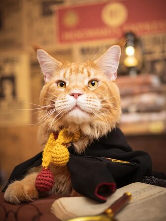 Костюм для собак та котів з окулярами та краваткою, Cosplay, розмір M (Грифіндор)