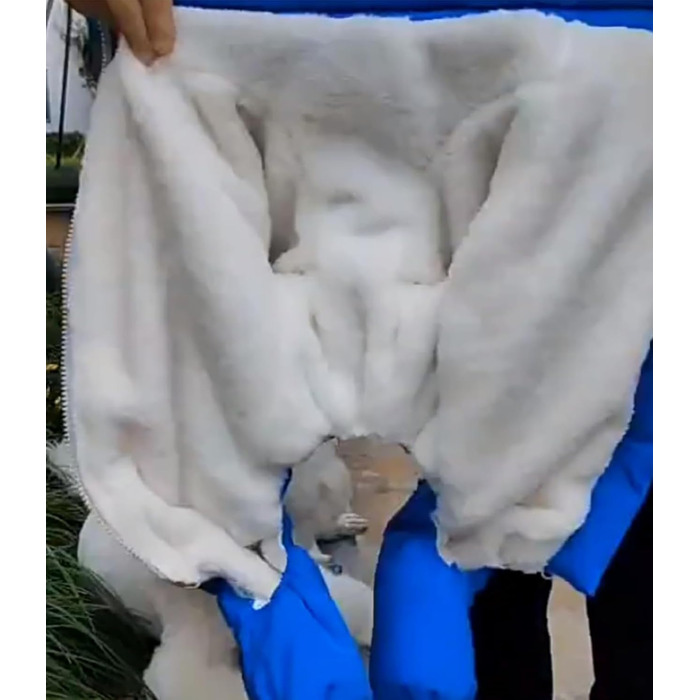 Водонепроникна зимова куртка для собак, тепла флісова жилетка, повсякденний зимовий одяг для собак, цуценят, C 14