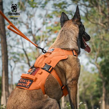 Нагрудник для собак OneTigris T-Bone тактичний, еластичний, з 2 ручками, анти-вислизання, регульований, для полювання, прогулянок, тренувань, активного відпочинку (зелений, M)