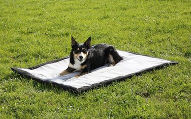 Килимок для собак Kerbl Trip, 140x100x4 см, сірий/чорний