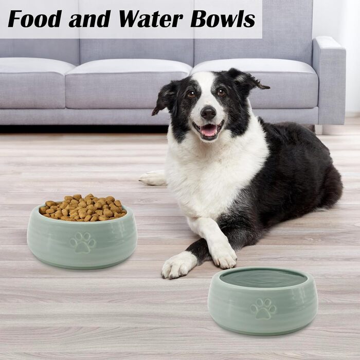 Керамічні годівниці для собак 2 шт., 16 см діаметр x 6,1 см висота, годівниці для домашніх тварин, миска для їжі та води для цуценят, миска для котів, захищає шийний відділ хребта, для собак та котів маленьких та середніх порід, зелений