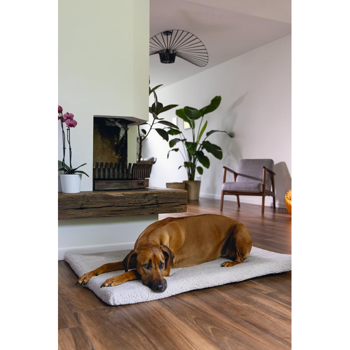 Ортопедичне ліжко для собак Beeztees Ito, сірого кольору, 109x69x5 см