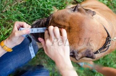 Міцний нашийник-маска для собак (пуделів та інших) з металевого дроту, коричневий, від 3 років