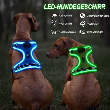 Світловідбивна LED шлейка для собак Bpawser, без ривків, з ручкою, заряджається, для малих і великих порід, синя, розмір S