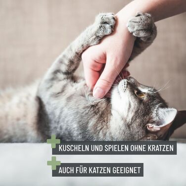 Ножиці ReaVET для обрізання кігтів собак та котів - з пилочкою та обмежувачем | Нержавіюча сталь | Інструмент для догляду за кігтями