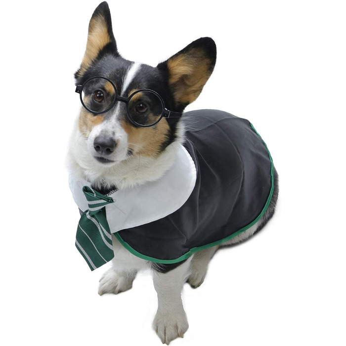 Сорочка для собак на Хелловін Impoosy: костюм кота-чаклуна, мила та м'яка сорочка з окулярами (розмір M, обхват шиї 35,6 см), чорний