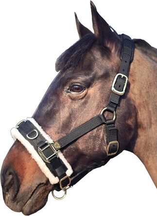 Теке Лонжера з флісовим наповнювачем, повідком та вуздечкою, чорний колір, розмір Cob (M)