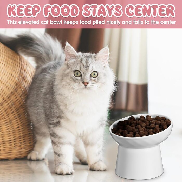 Набір мисок для котів Tanlade з підняттям, керамічні, нахилені, 4 шт. (білий та сірий)