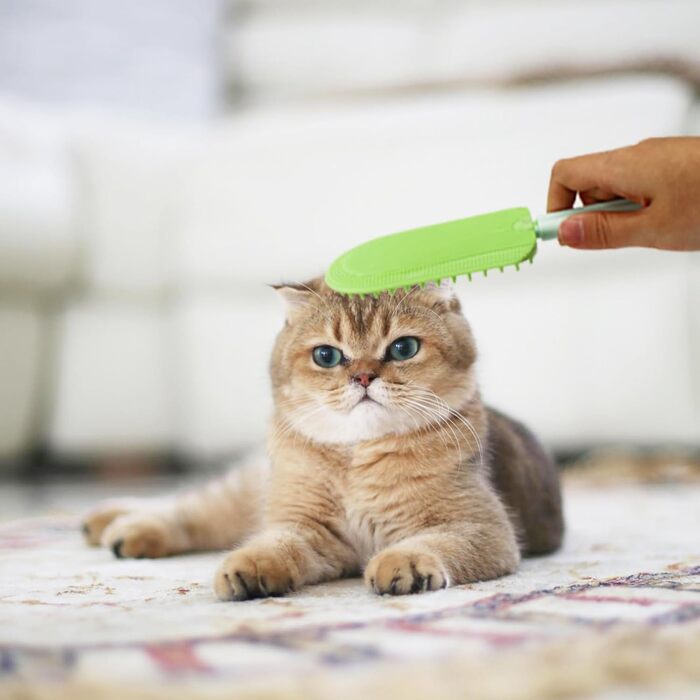 Гребінець для котів, м'який, миючий, для видалення ковтунів та зменшення випадіння шерсті, портативна щітка для грумінгу, масажна, для довгошерстих та короткошерстих котів, зелений