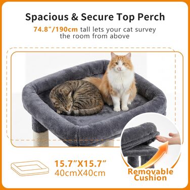 Heybly Katzenbaum 190 см, XXL Дряпка для великих котів, Стабільна висока когтеточка з великою платформою, 2 печери, гамак та міцні стовпи з сизалю, Сірий HCT062G