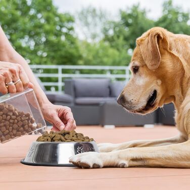 Набір з 8 мисок для собак з нержавіючої сталі, годівниця для домашніх тварин з гумовою основою, миска для корму та води для собак, котів та інших тварин