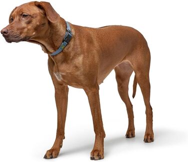 Нашийник для собак Hunter Vario Plus, сірий, M-L/2.0, надійна застібка, комфортний