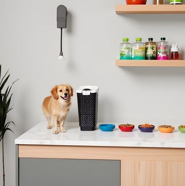 Контейнер для корму Rotho Flo 4.1л з кришкою, з безпечного пластику (PP), BPA-free, чорний