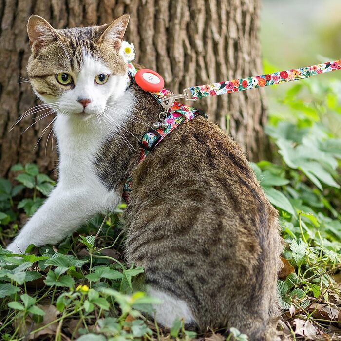 Шлейка та поводок для котів, анти-вислизання, для прогулянок, подорожей, на вулицю, м'який нейлон, регульована, милий комплект шлейки з тримачем Airtag, для кошенят та великих котів. Розмір шиї: 19-31 см, груди: 27-46 см, квітковий принт