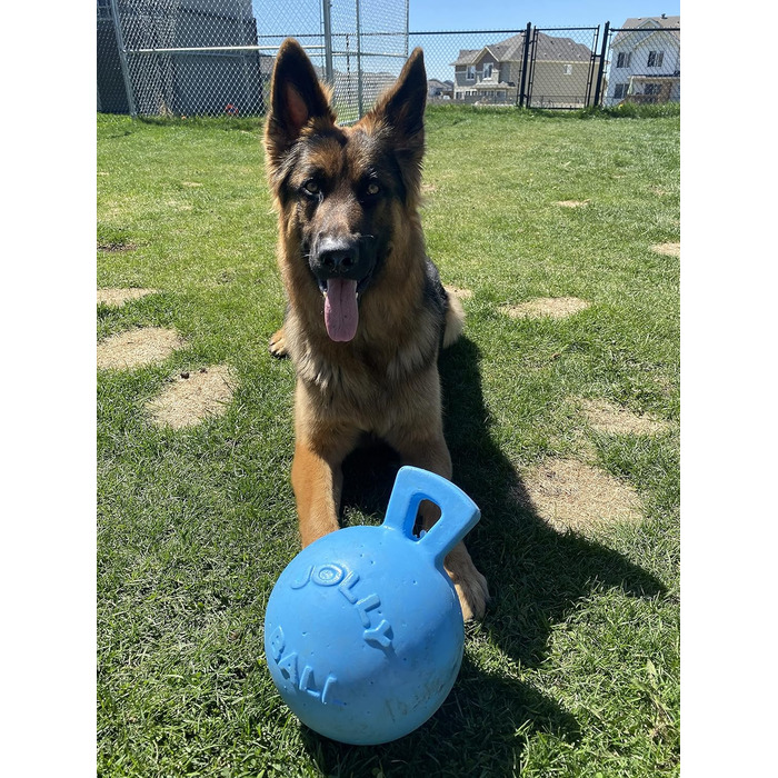 Іграшка для собак Jolly Pets Tug-n-Toss 20 см, блакитна