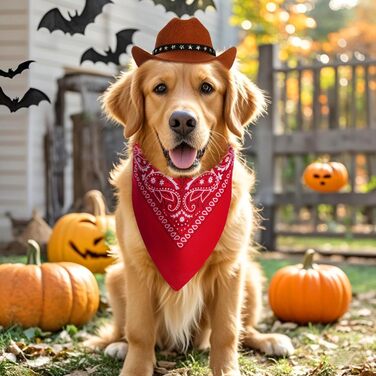 Костюм ковбоя для домашніх тварин, аксесуари для Хелловін, костюм для собак та котів, ковбойський капелюх з банданою, розмір M, коричневий