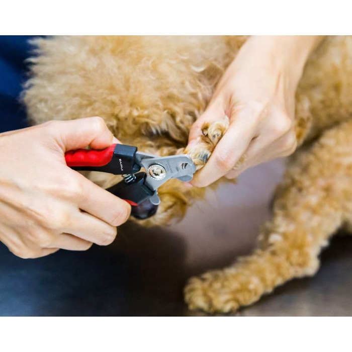 Професійний кусачки для нігтів собак та котів BAIRUI з пилочкою (червоний)