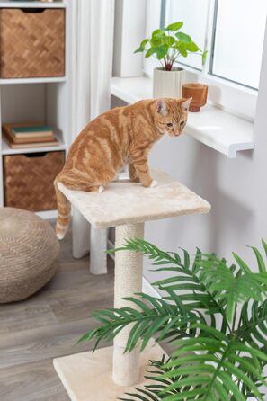 Дряпальня для котів TRIXIE Baena, 69 см, бежева - 43370