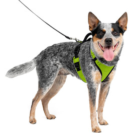 Шлея для собак PetSafe Easysport, розмір M, зелена (яблучна)