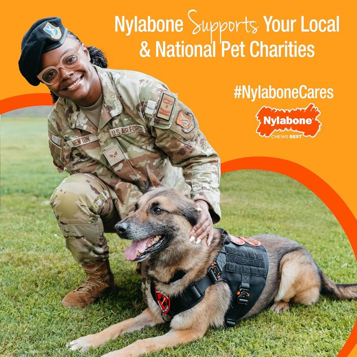 Жувальна іграшка для собак Nylabone Power Chew, набір 3 шт, арахісове масло та бізон, для великих і гігантських порід