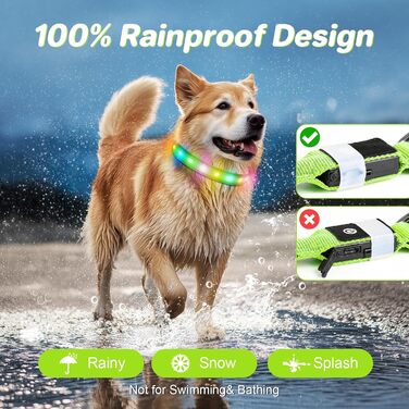 Світлодіодна нашийник для собак Feycig з USB-зарядкою - водонепроникний, регульований, 3 режими, для малих, середніх та великих собак (світло-зелений, L(48-60см))