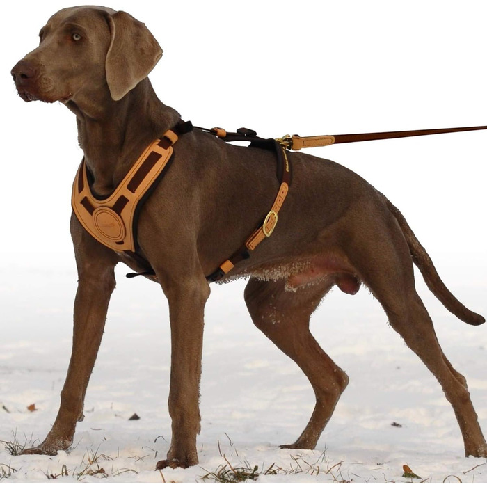 Повідок для собак Niggeloh Mantrailing, коричневий