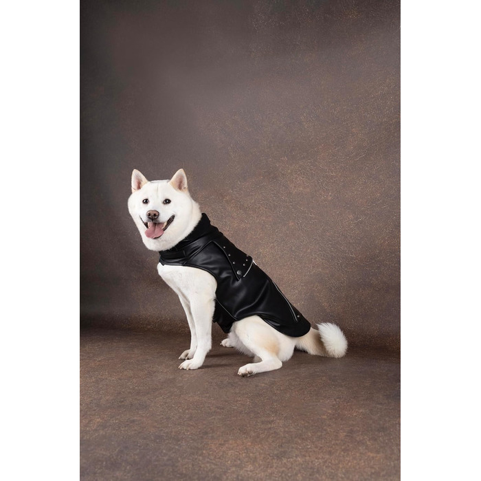 Зимовий теплий нашийник для собак Sergio Schwarz, чорний, A:45см, штучна шкіра, з флісовою підкладкою