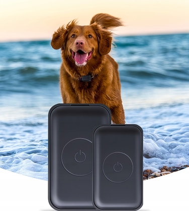 GPS-трекер для собак та котів: міні-нашийник для тварин без абонплати з додатком