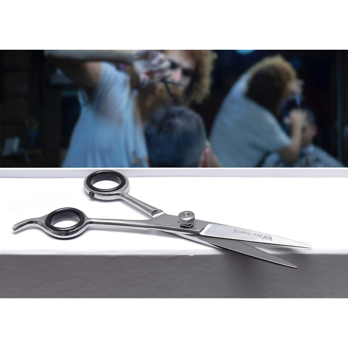 Професійні ножиці для волосся Focus World 6,5 дюймів (FW--01) - Японська сталь, срібло