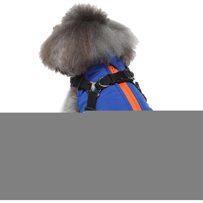 Тепла зимова жилетка для собак - блакитна, S | Зі зручним кріпленням для нашийника | Зимовий одяг для собак середніх та великих порід