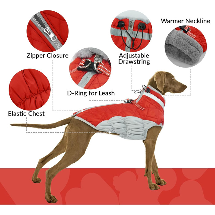 Водонепроникний зимовий теплий одяг для собак: куртка, жилет, пуховик, светр з кільцями D (червоний, 2XL) XXL Червоний