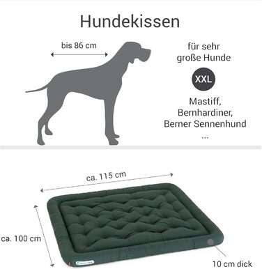 Ортопедична лежанка для собак Doctor Bark, XXL (115x100 см), зелена, гігієнічна та міцна