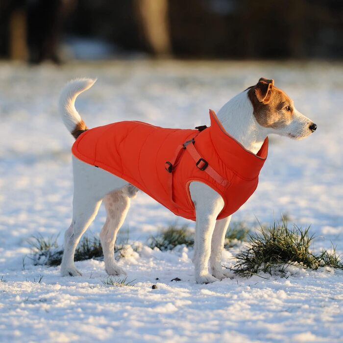 Зимова куртка для собак, жилет, водонепроникна, світловідбиваюча, з флісовою підкладкою, костюм для маленьких собак на вулицю з персоналізованою нашивкою, помаранчевий колір, XL (довжина спини 44 см), XL (персоналізований)