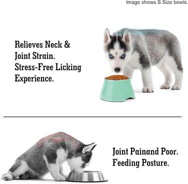 Миска для собак Petvillage, конічної форми, неслизька, з нержавіючою сталею, піднята миска для середніх собак, спанієлів з довгими вухами, велика місткість, розмір L, 3 чашки, (Medium(2 чашки), м'ятний колір)
