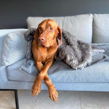 Крісло-гніздо для собак Petface з штучного хутра, Donut-форма (Люкс)