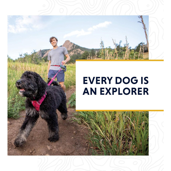 Нашийник для собак RUFFWEAR Front Range, міцний Tubelok, алюмінієва застібка, стильний, для щоденного використання, колір бірюзовий, розмір M (36-51 см)