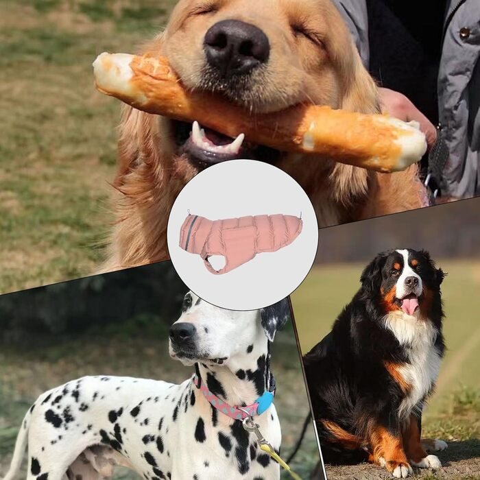 Зимовий теплий одяг для собак - водонепроникна куртка, тепла, захист від снігу. Підходить для великих собак, для осені та зими. Комфортний захист від холоду (Рожевий)