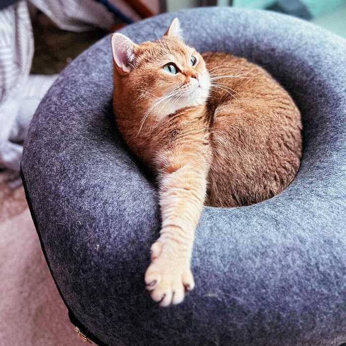 Котяча лежанка-будиночок Reisekatze Donut, преміум, 53,3 см, з фетру, з кігтеточкою та золотистою блискавкою, зручна для котів