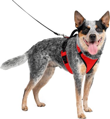 Шлея для собак PetSafe EasySport M, червона, еластичний комір, м'яка ручка, для собак 11,3-22,5 кг