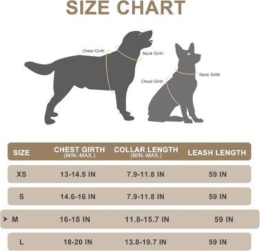 Нашийник та поводок для собак ExPawlorer – класичний вишуканий комплект для середніх собак, сірий колір, не тягне, регульований, надійний для прогулянок