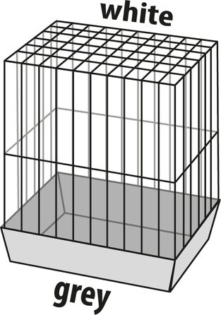 Клітка для папуг Flamingo Wammer 1, 54x34x75 см, металева