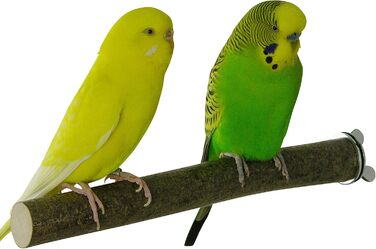 VogelKing комплект із 9 сідал для птахів із натурального дерева, різні розміри (3×14 см, 3×20 см, 3×26 см), для хвилястих папуг, амадин, корел, папуг та інших, набір сідал для клітки