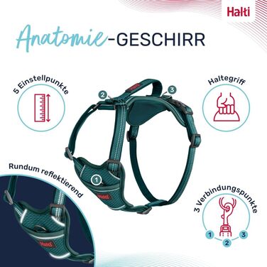 Шлея для собак HALTI Anatomy з ручкою, 3 точки кріплення, неопрен, регульована, світловідбиваюча, розмір S, синьо-зелена
